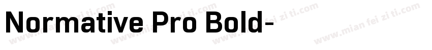 Normative Pro Bold字体转换